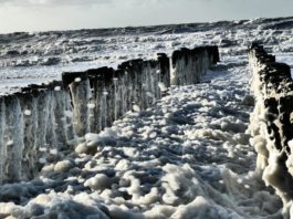 Het Weer in Knokke-Heist en de Zwinregio