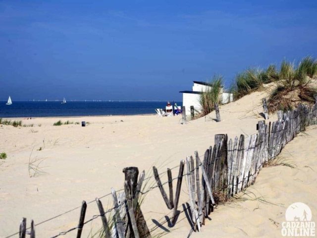 cadzand